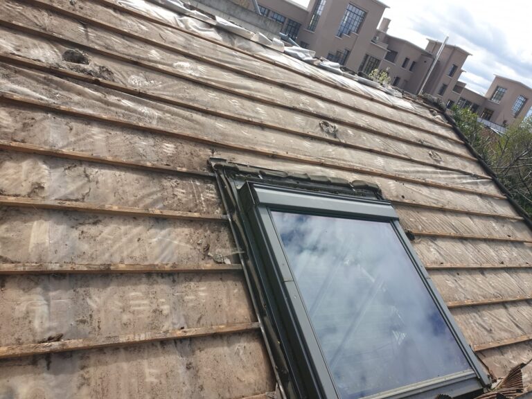 WhatsApp Image 2025-10-25 at 10.52.49